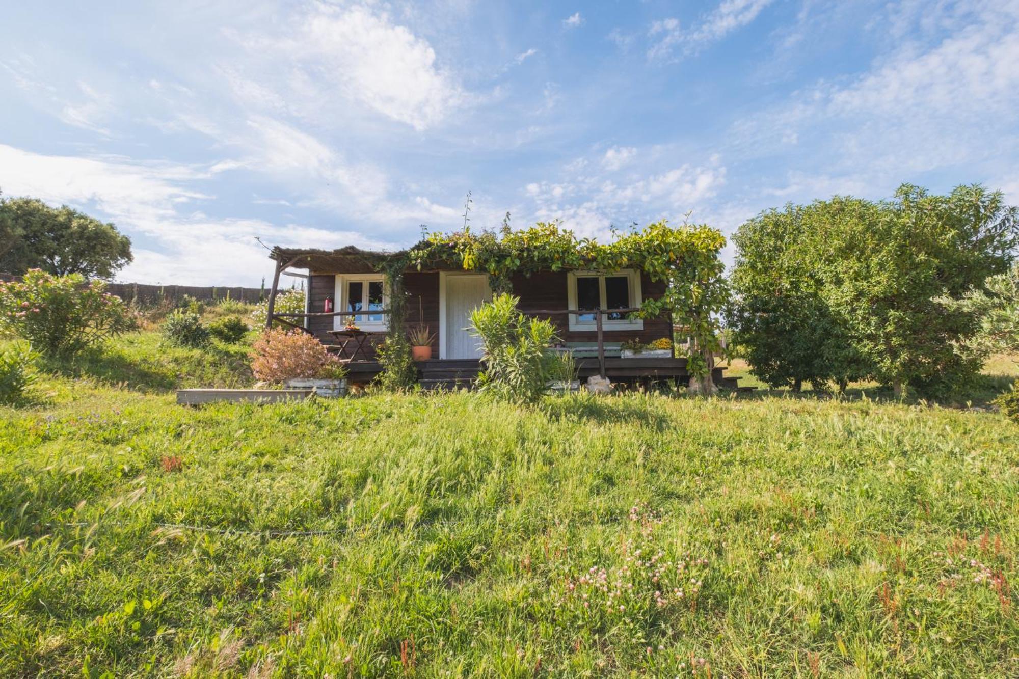 Ruralcamomo Villa Cadiz Exterior photo